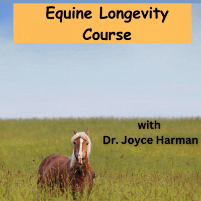 Equine Longevity Course